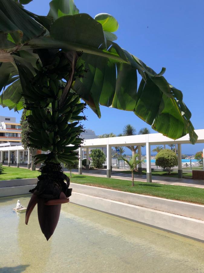 Good Vibes Apartment Costa Del Silencio Exterior photo