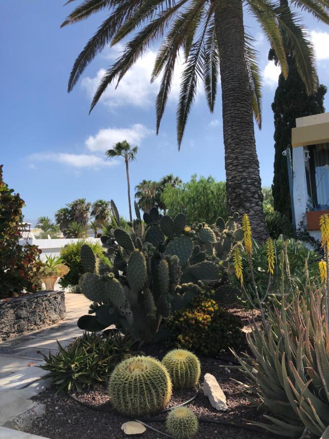 Good Vibes Apartment Costa Del Silencio Exterior photo
