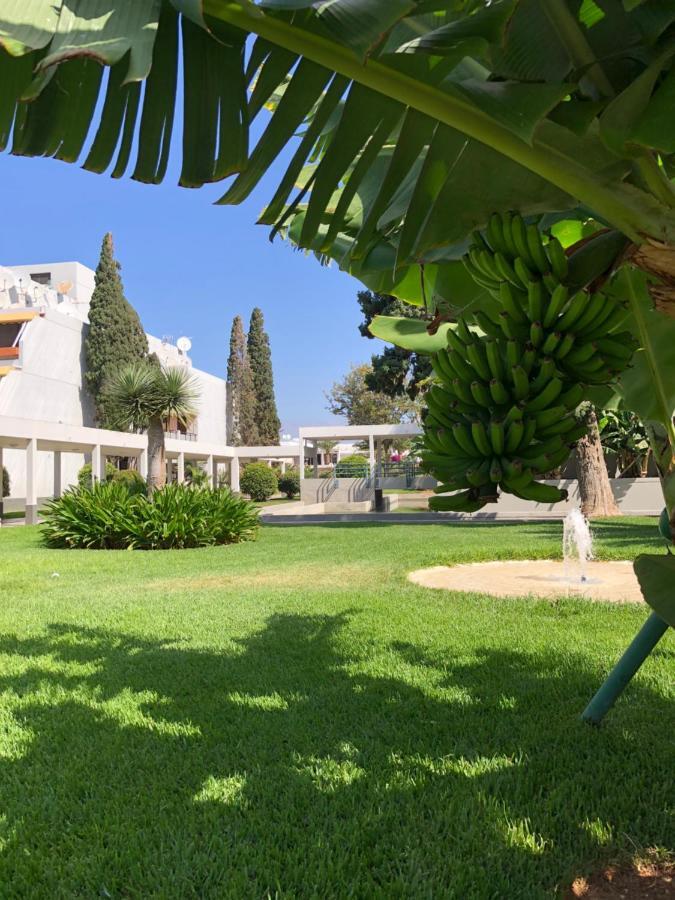 Good Vibes Apartment Costa Del Silencio Exterior photo