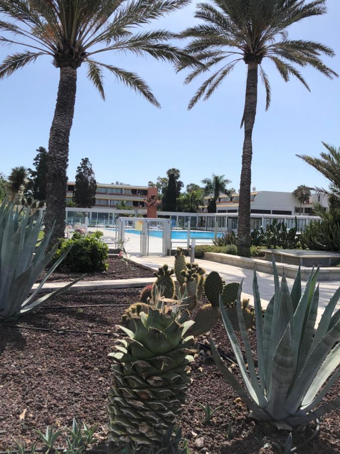 Good Vibes Apartment Costa Del Silencio Exterior photo